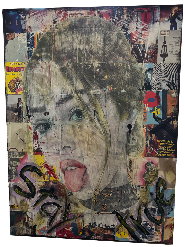 Großformatiges Pop-Art-Gemälde im Hochformat, dessen Hintergrund aus einer bunten Collage alter LP-Schallplattenhüllen besteht. Im Zentrum steht das großformatige Gesicht einer jungen Frau mit herausgestreckter Zunge und grünem Auge, das im Tampondruck aufgebracht wurde. Am unteren Bildrand zieht sich ein dunkler, handschriftlicher Graffiti-Schriftzug quer über das Motiv.